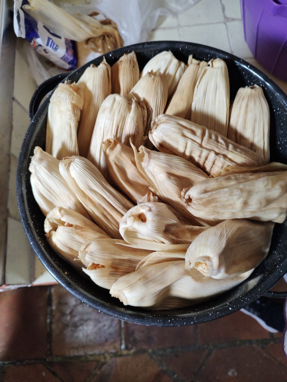Tamales rayados, la deliciosa tradición queretana Noesis